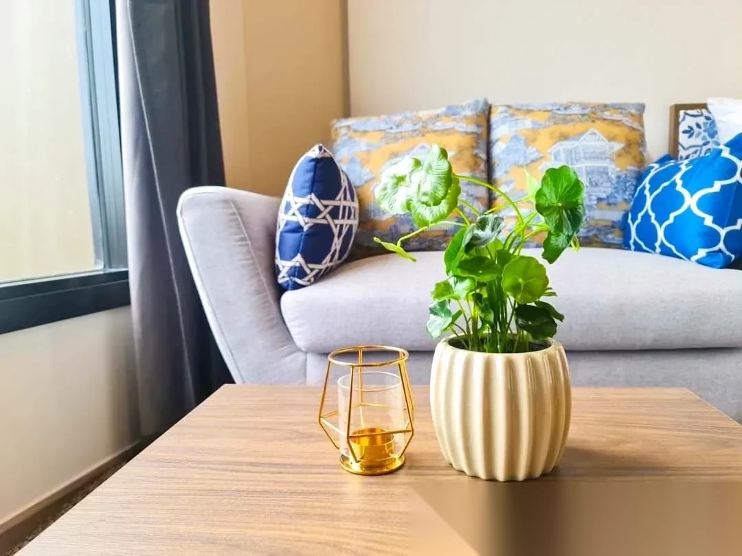 Studio Apartment for rent at THE BASE Central Phuket complex · Wichit · Pool View — photo 5