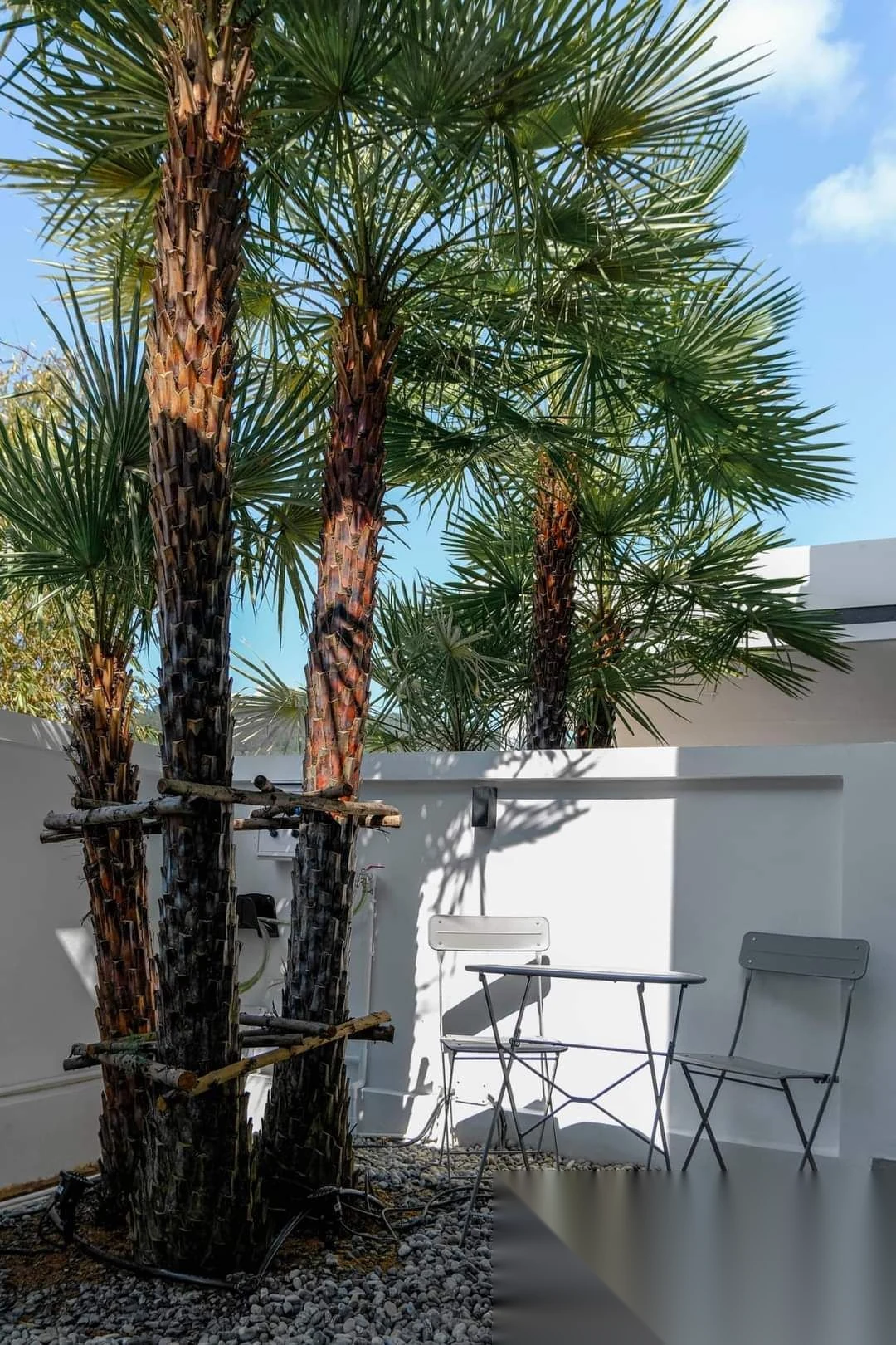 2 Bedroom House for rent at The Passion Residence Chalong complex · Chalong · Garden View — photo 8