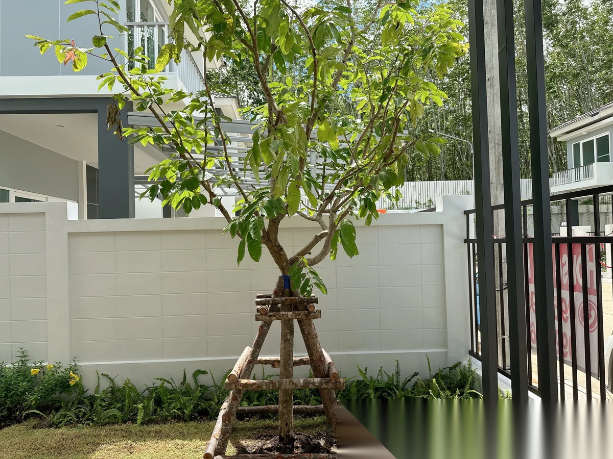 3 Bedroom House for rent at Supalai Palm Spring Banpon Phuket complex · Si Sunthon · Garden View — photo 12