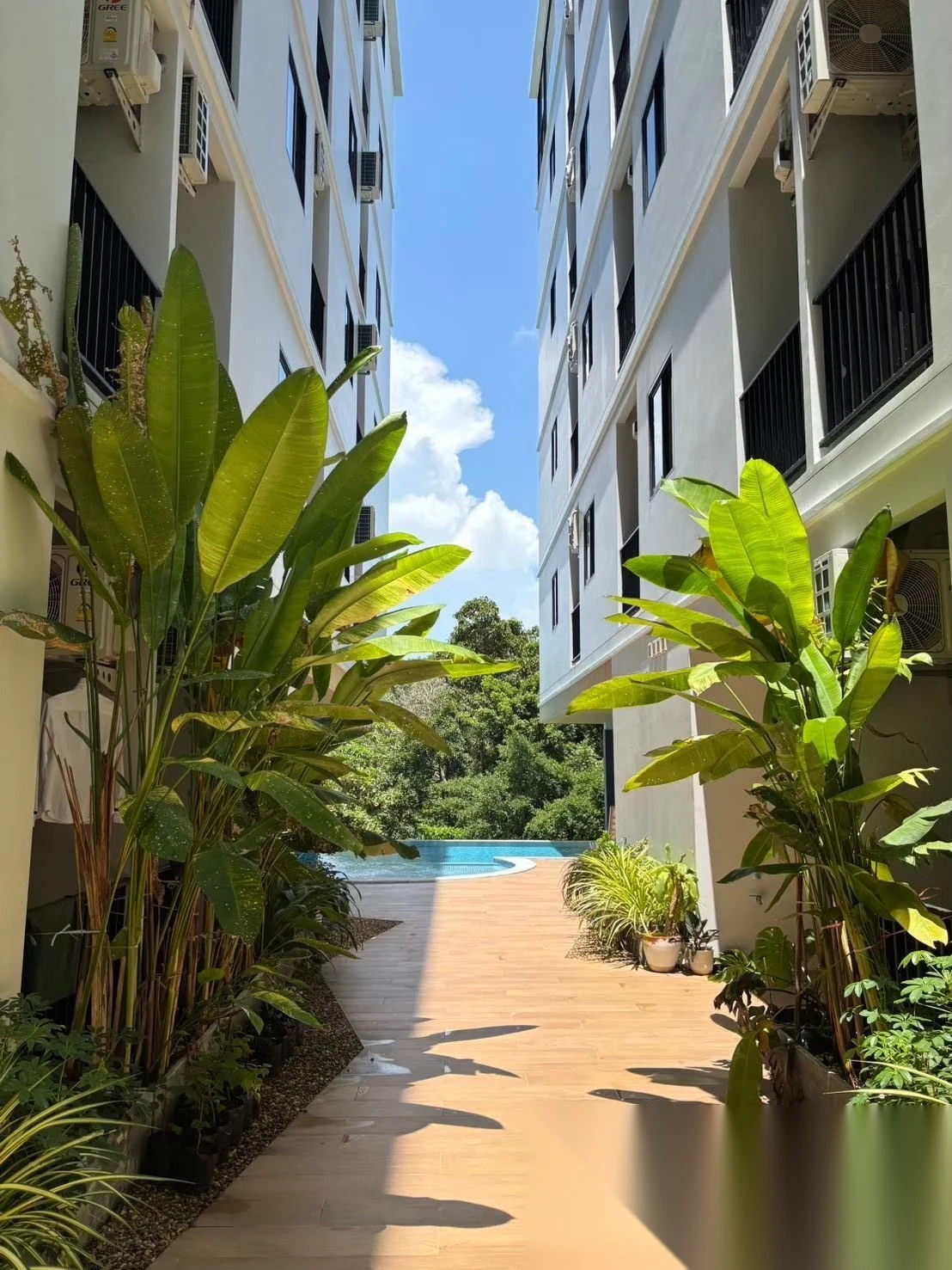 Studio Apartment for rent at VIP Great Hill Condominium complex · Sakhu — photo 7