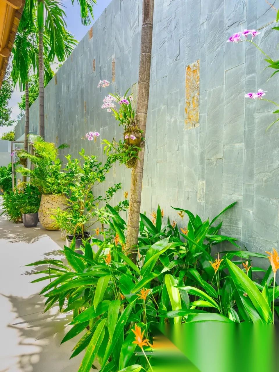 3 Bedroom Villa for sale at Anchan Tropicana complex · Thep Krasattri · Pool View — photo 45