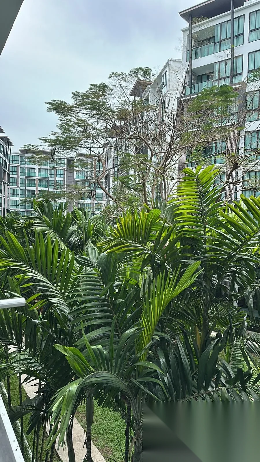 Studio Apartment for rent at Royal Lee The Terminal Phuket complex · Sakhu — photo 6