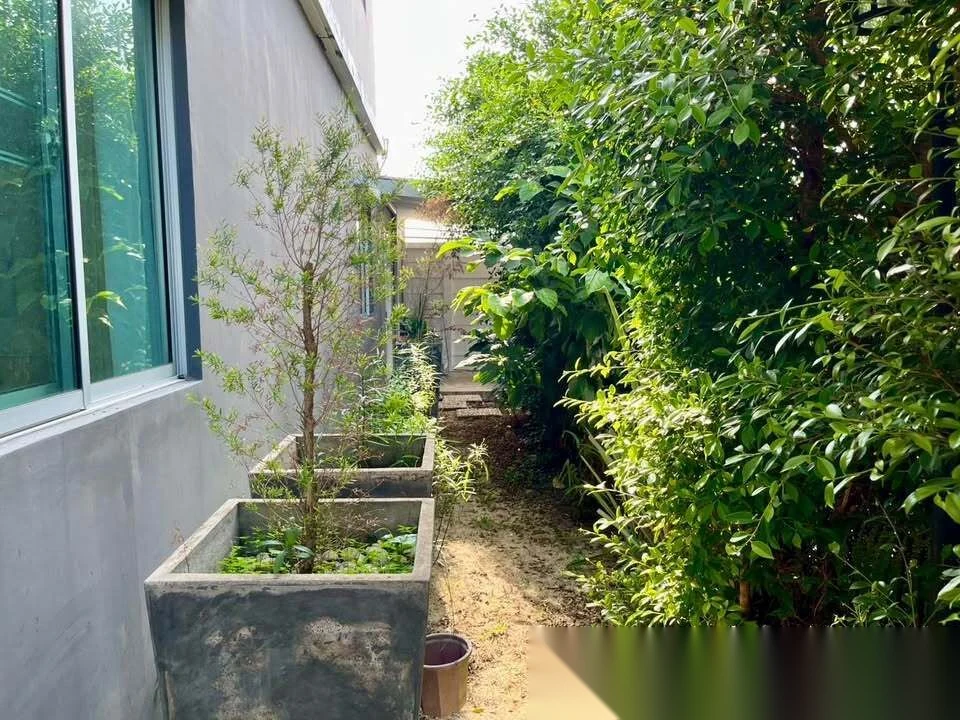 3 Bedroom House for rent at Pruksa Ville Thalang-Thepkasattri complex · Thep Krasattri · Garden View — photo 9