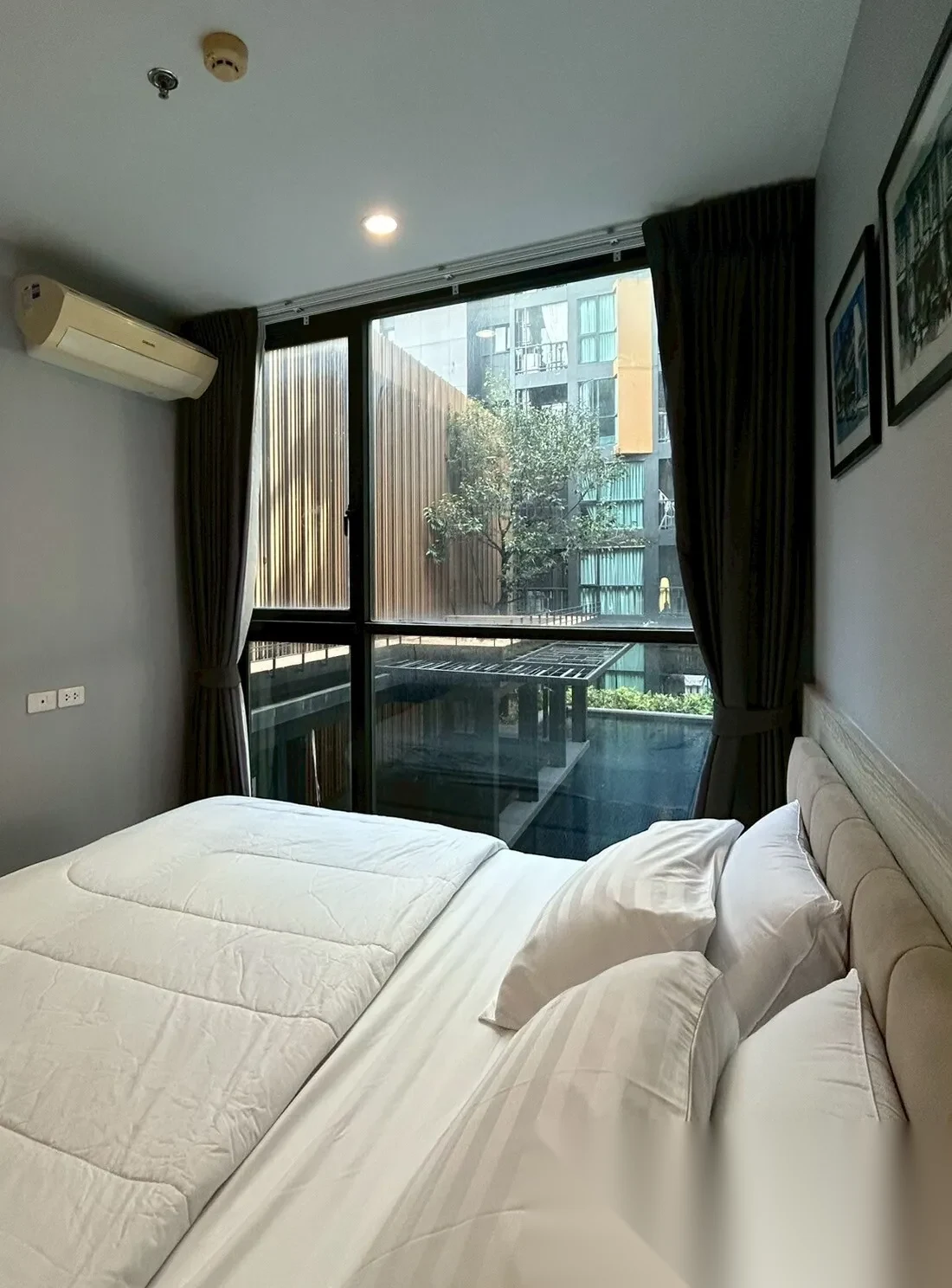 Апартаменты 1BR в ЖК The Base Height · Пхукет-таун · Вид на бассейн — фото 4