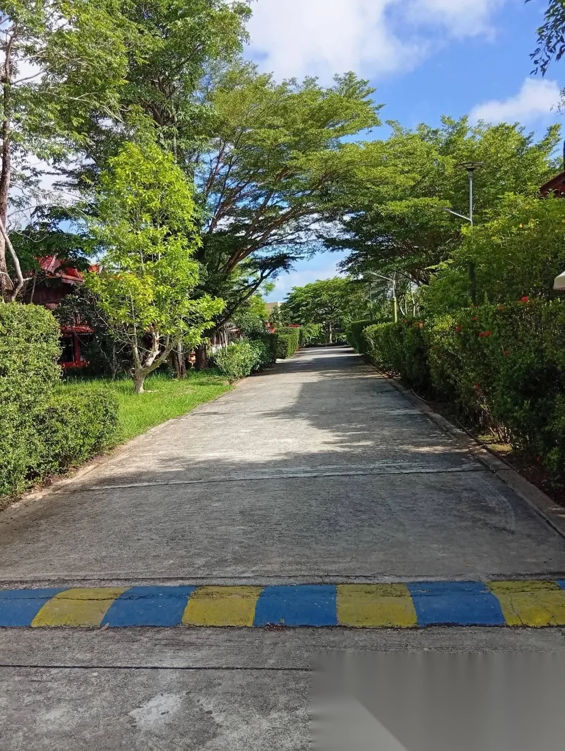 4 Bedroom Villa for rent at Phuket-Thaihouse complex · Thep Krasattri · Garden View — photo 2