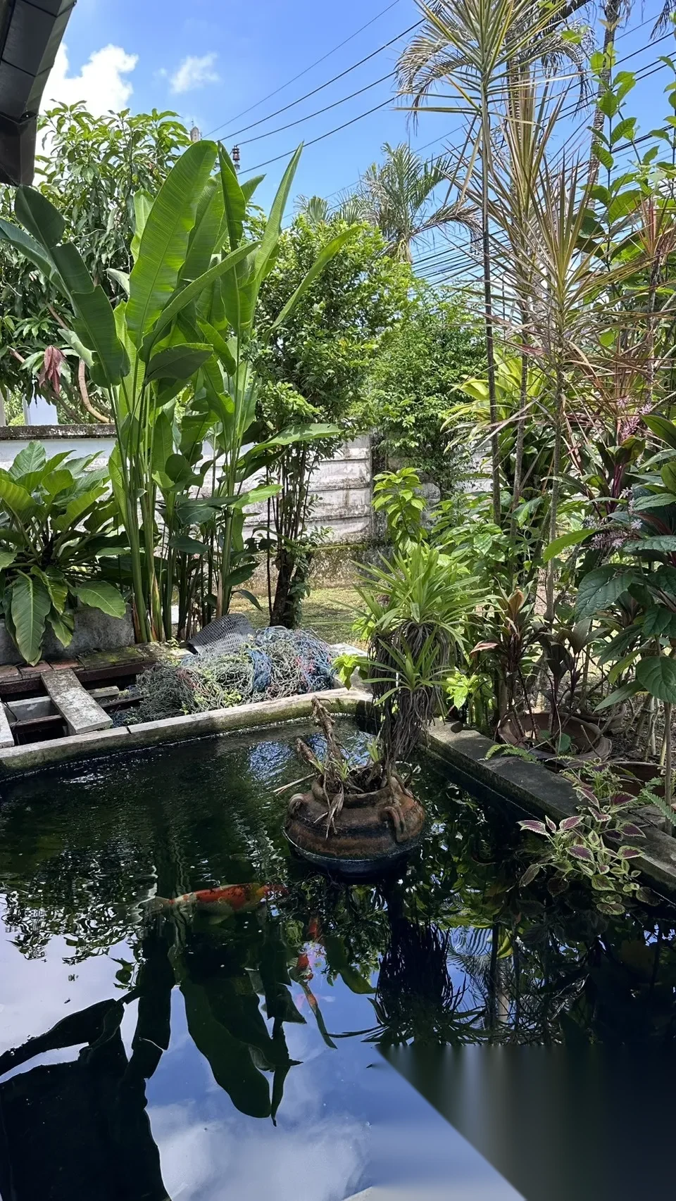 3 Bedroom House for rent at Baan Suan Yu Charoen 3 complex · Si Sunthon · Garden View — photo 6