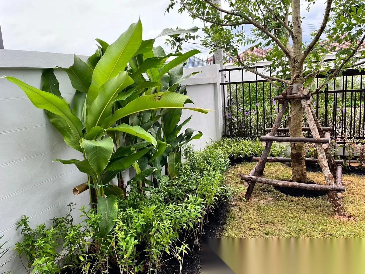 4 Bedroom House for rent at Supalai Palm Spring Banpon Phuket complex · Si Sunthon · Garden View — photo 3