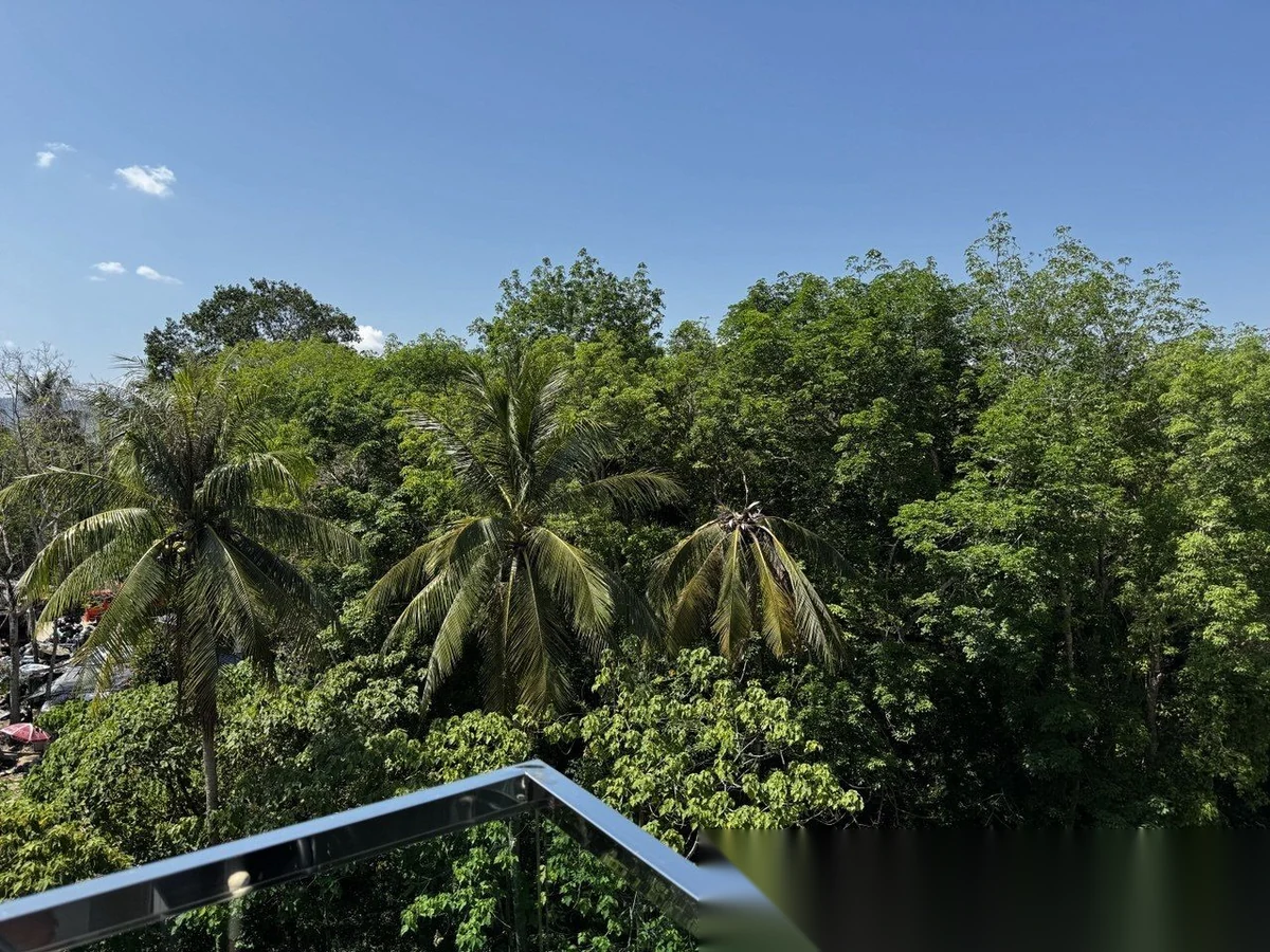 Апартаменты 1BR в ЖК The City Phuket · Кату · Вид в сад — фото 4