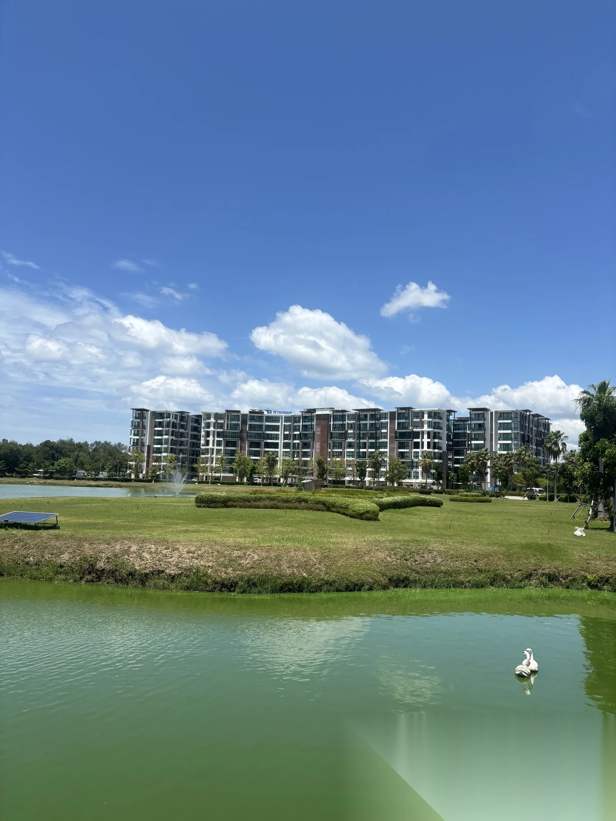 Studio Apartment for rent at Royal Lee The Terminal Phuket complex · Sakhu · Pool View — photo 8