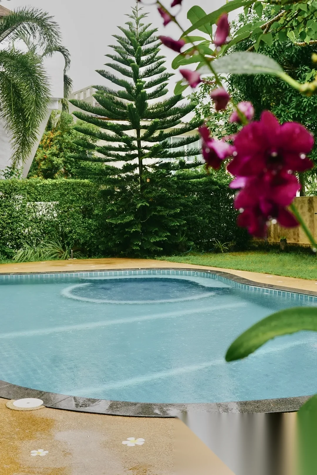 3 Bedroom Villa for rent at Saiyuan Med Village complex · Rawai · Pool View — photo 3