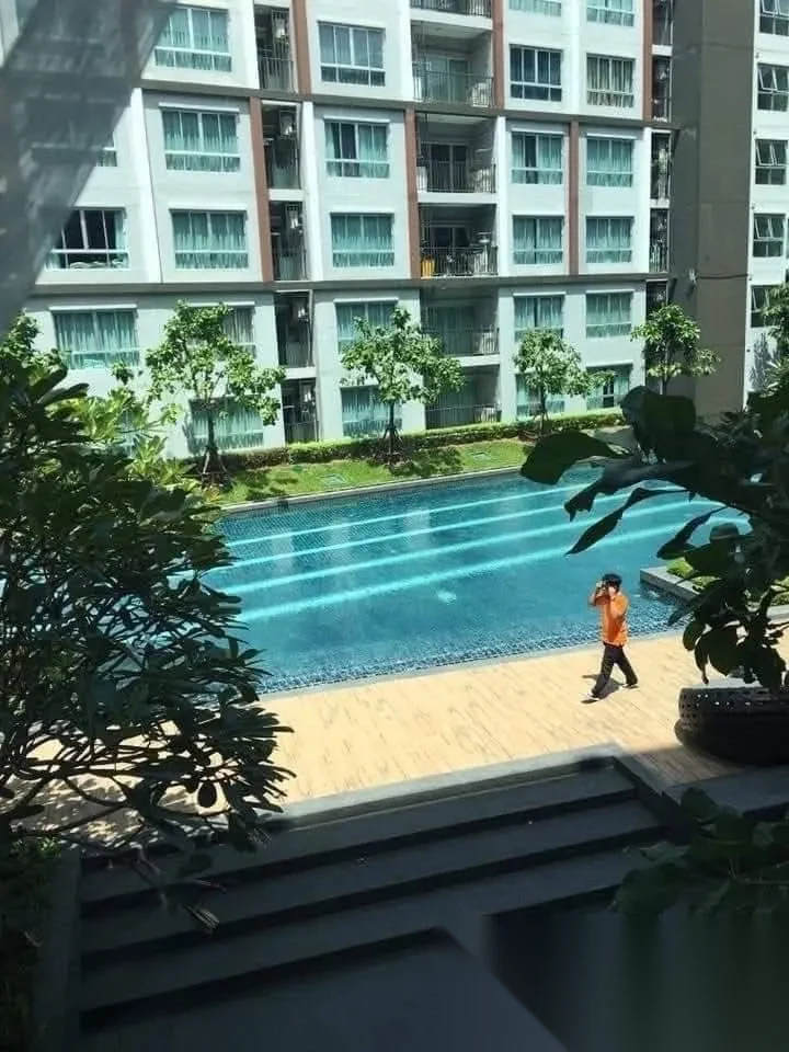 1 Bedroom Apartment for rent at D Condo Mine complex · Kathu · Pool View — photo 9