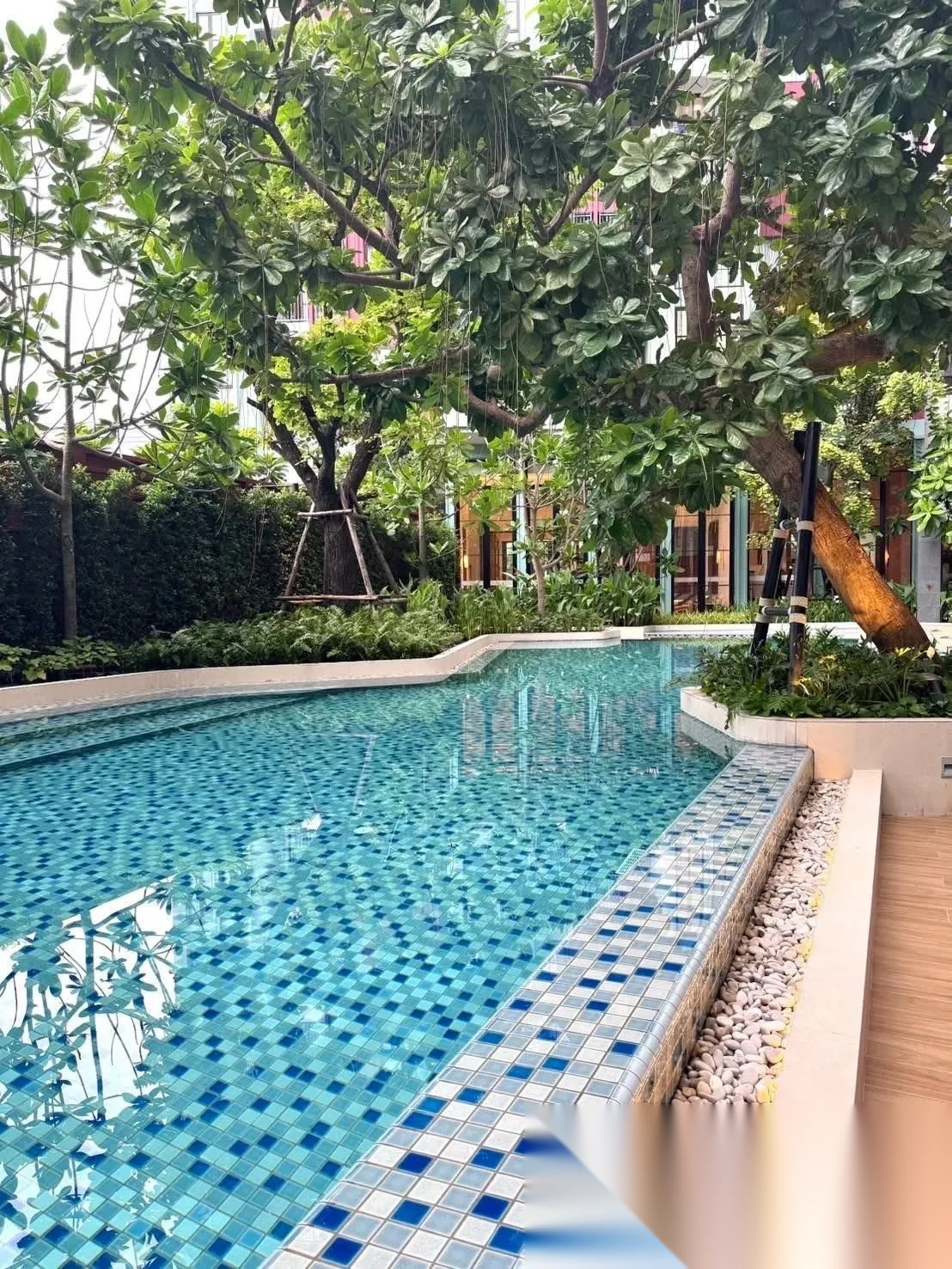 2 Bedroom Apartment for rent at THE BASE Bukit complex · Wichit — photo 9