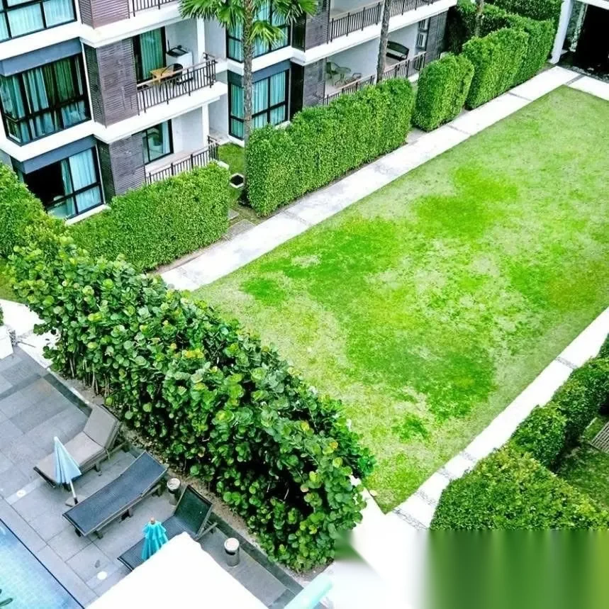 1 Bedroom Apartment for rent at The Title Rawai Phase 1-2 complex · Rawai · Garden View — photo 12