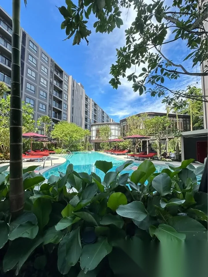 1 Bedroom Apartment for rent at The Base Cherngtalay complex · Choeng Thale — photo 11
