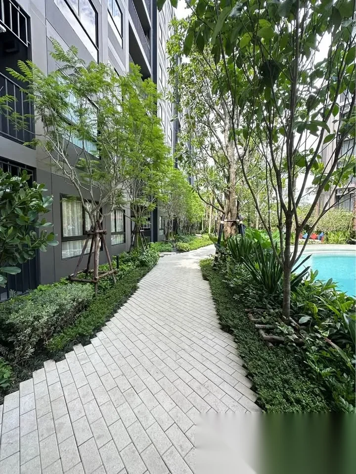 1 Bedroom Apartment for rent at The Base Cherngtalay complex · Choeng Thale — photo 12
