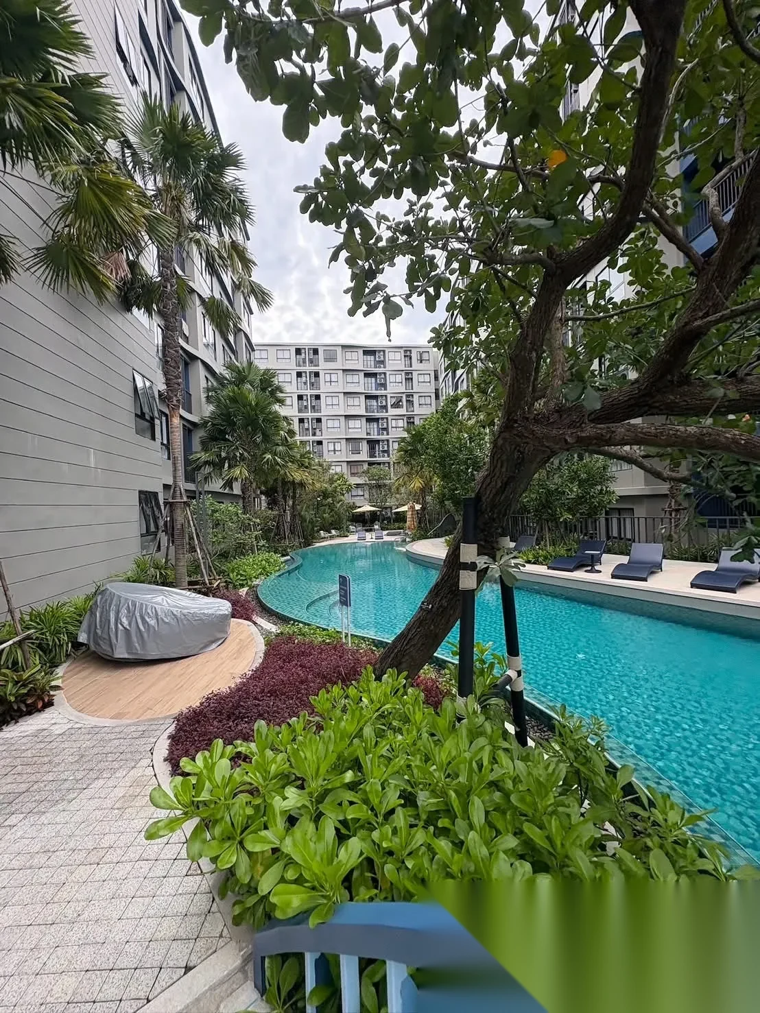 Апартаменты 1BR в ЖК Dcondo Reef Phuket · Кату · Выход к бассейну — фото 7
