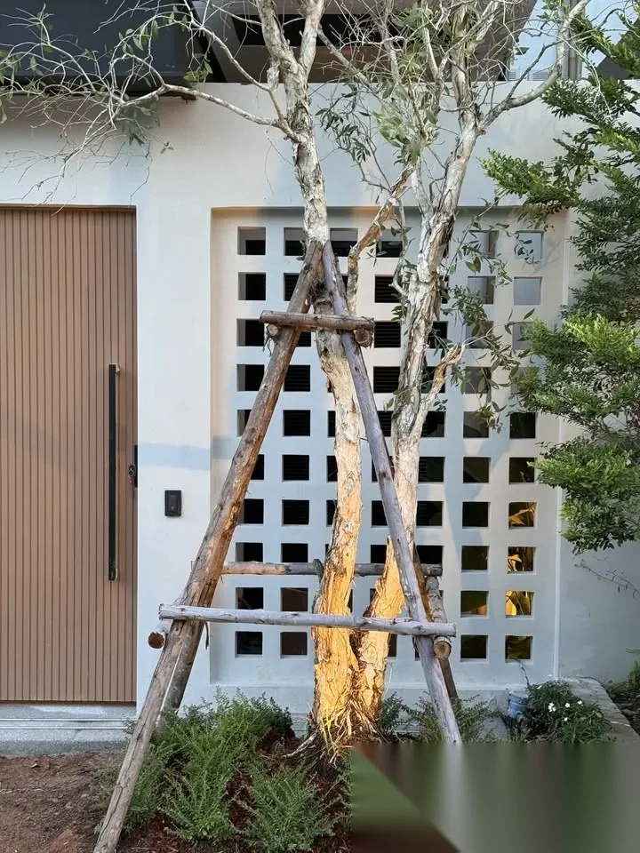 3 Bedroom Villa for sale at Vela Villas Cape Yamu complex · Pa Khlok · Pool View — photo 34