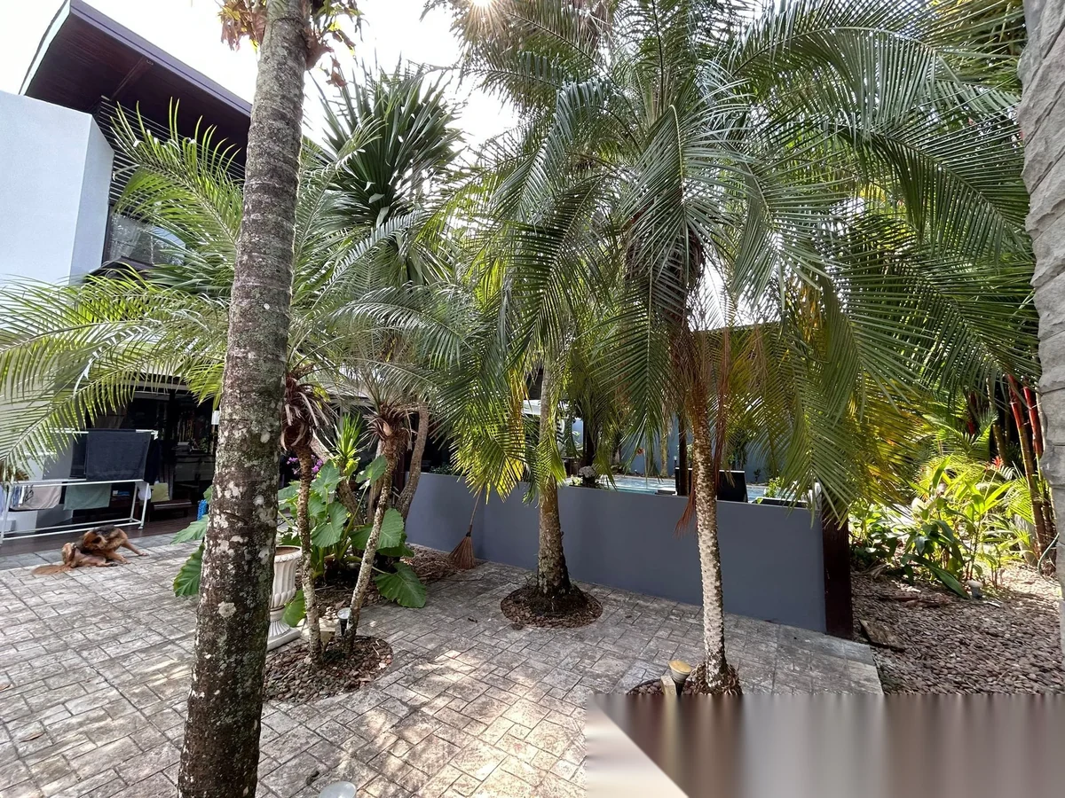 4 Bedroom Villa for sale — photo 34