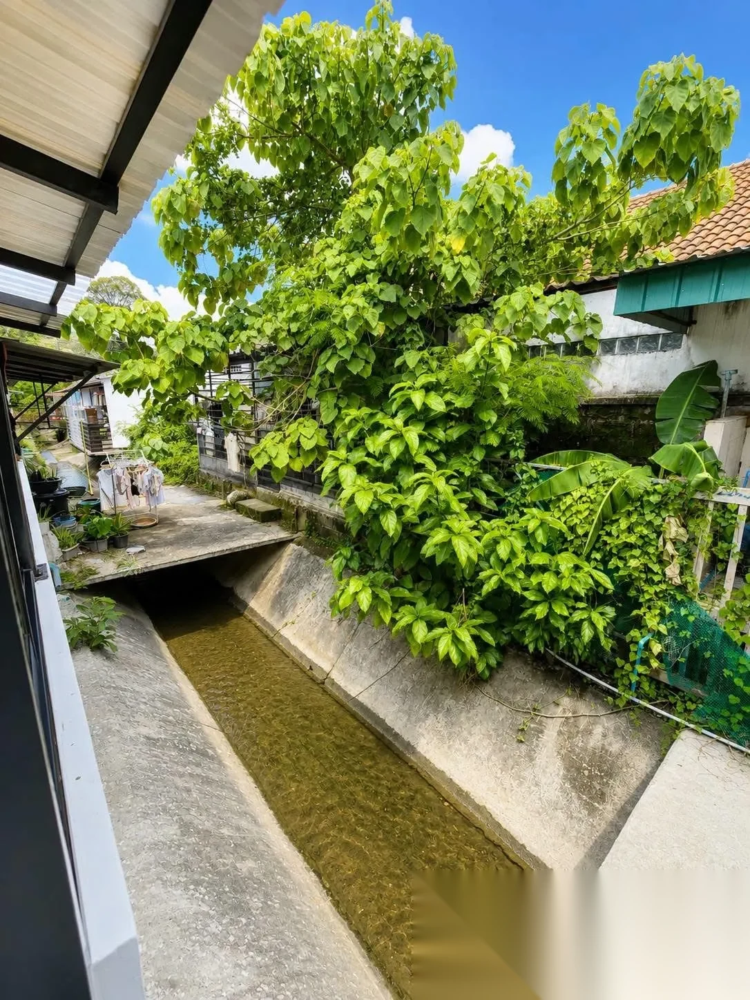 3 Bedroom House for rent at Bangthong Hillside complex · Kathu — photo 4
