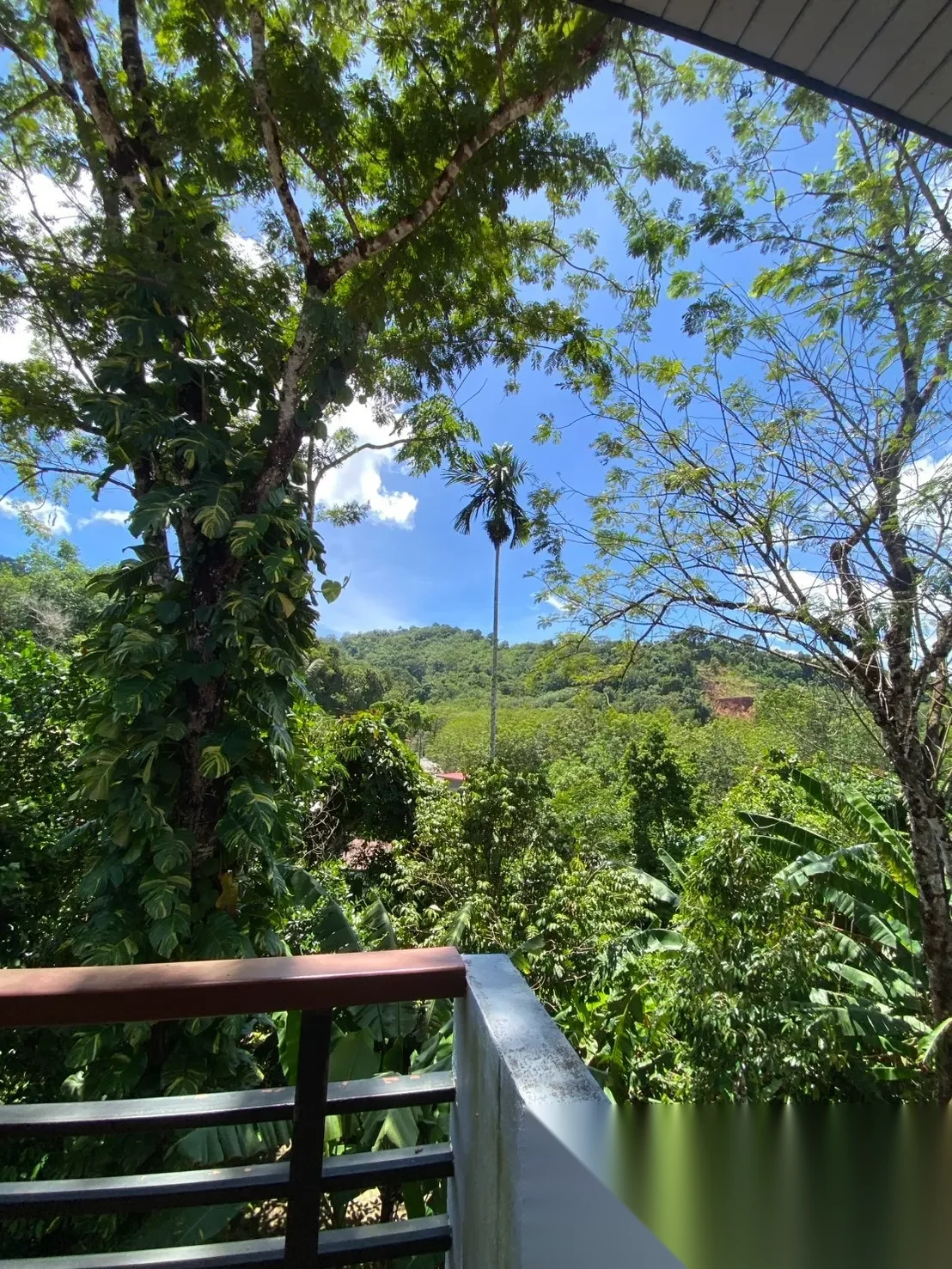 4 Bedroom House for rent · Si Sunthon — photo 8