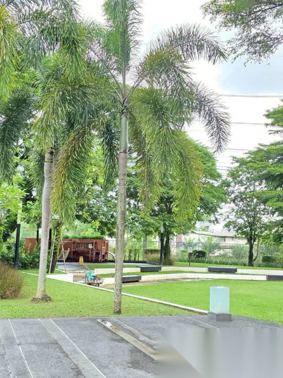 3 Bedroom House for rent at Inizio Koh Kaew Phuket complex · Ko Kaeo · Pool Access — photo 8