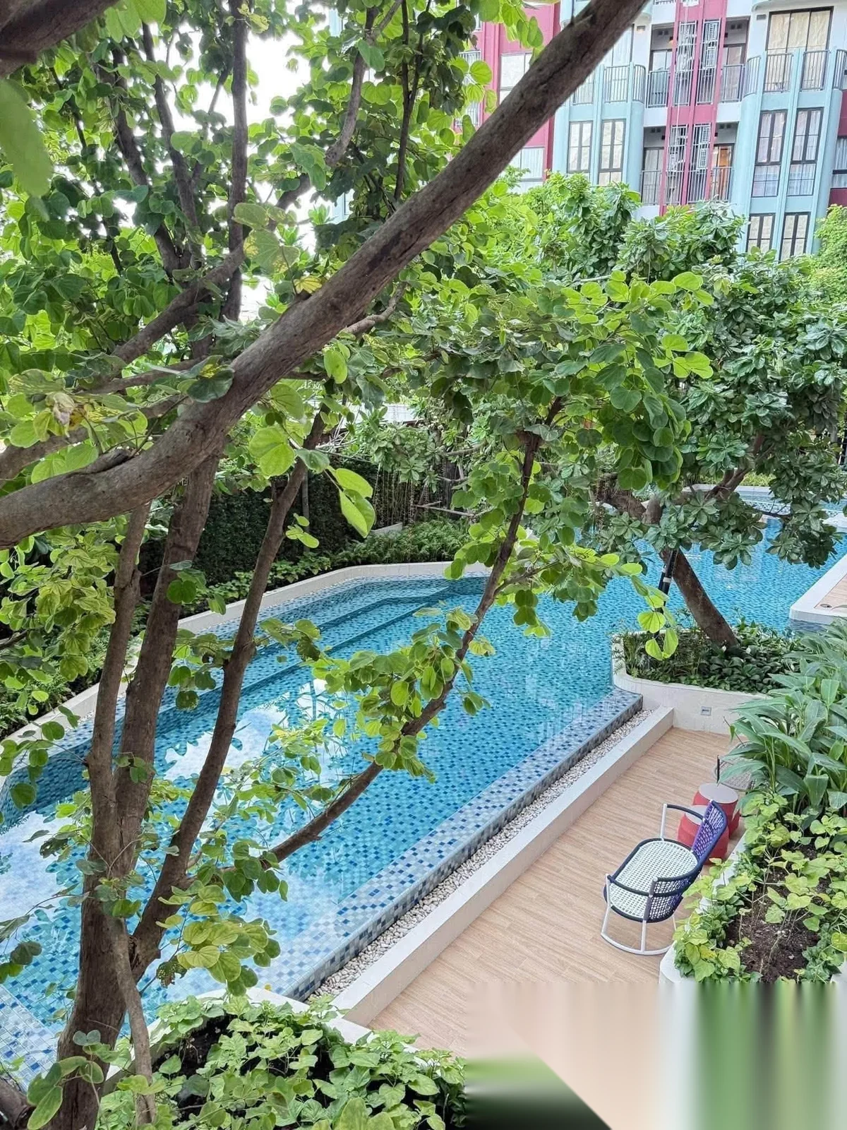 1 Bedroom Apartment for rent at THE BASE Bukit complex · Wichit — photo 9
