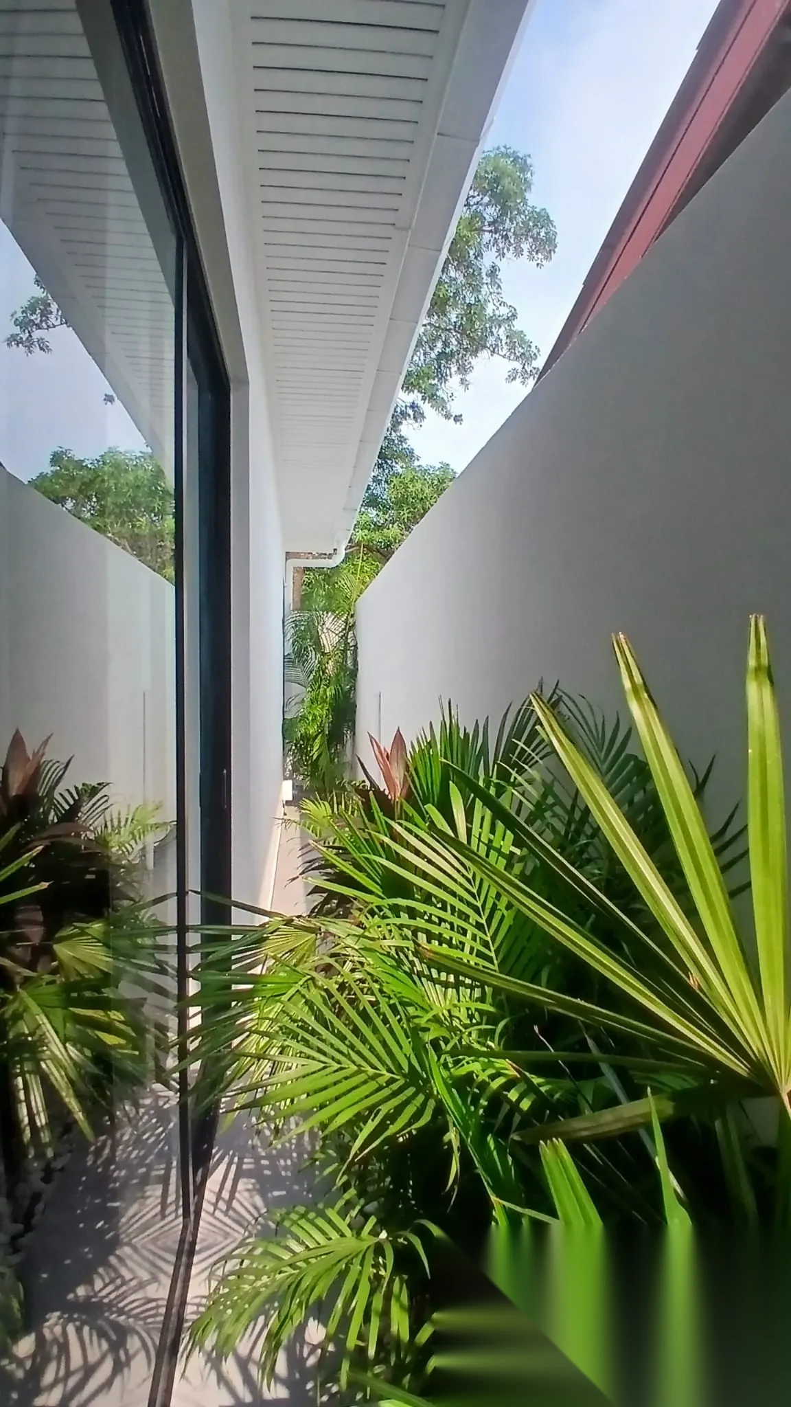 3 Bedroom Villa for sale · Pool View — photo 15