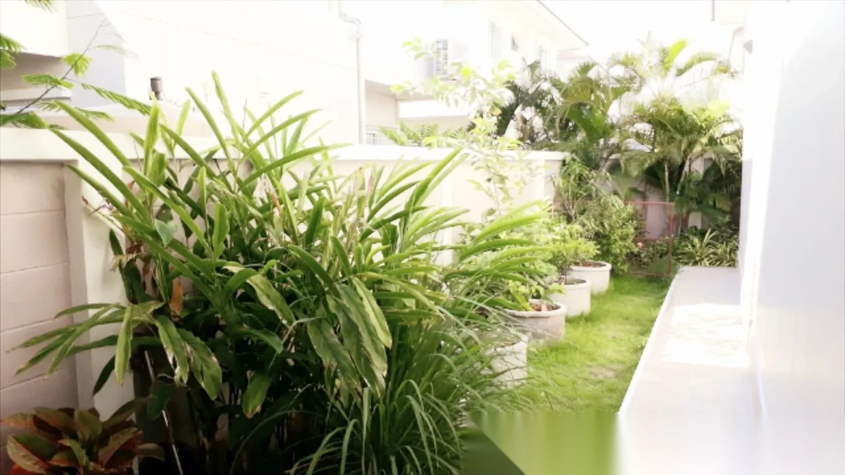 3 Bedroom House for sale at Supalai Lagoon Phuket complex · Ko Kaeo · Garden View — photo 12