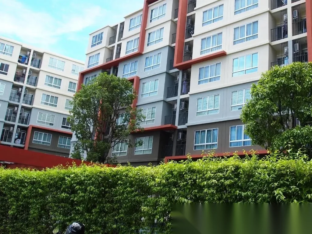 Апартаменты 1BR в ЖК D Condo Kathu-Patong · Кату · Вид на бассейн — фото 6
