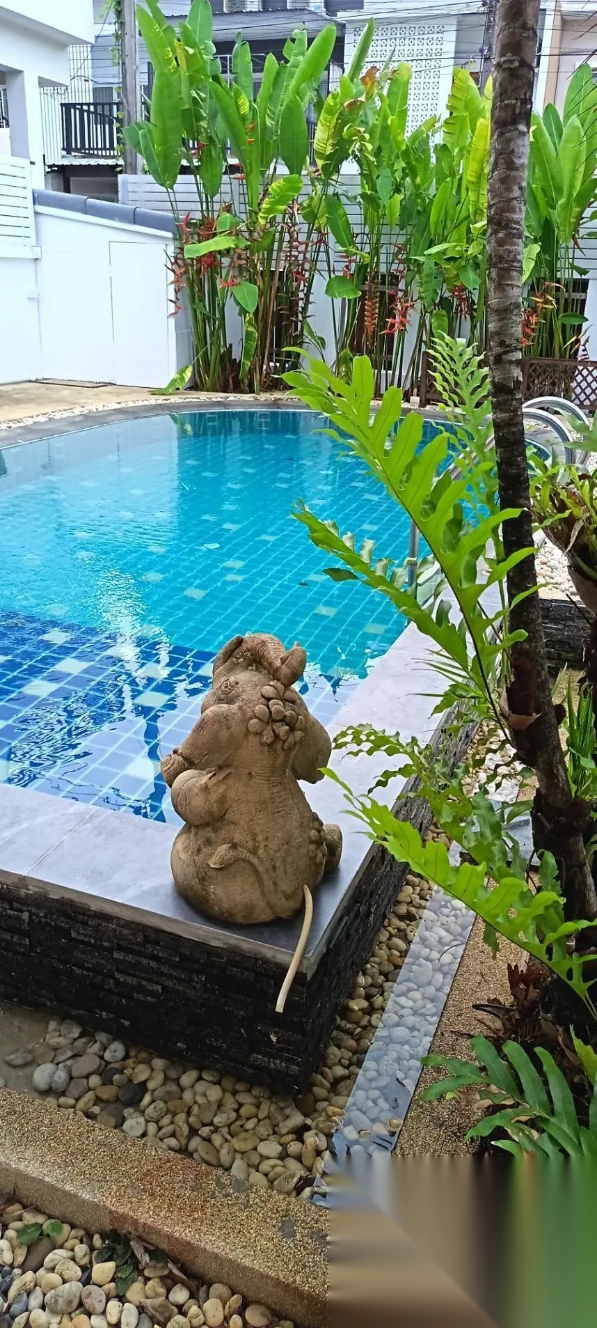 Дом 5BR в комплексе Spacious 5BR Private Pool Villa in Kathu · Кату · Вид на бассейн — фото 5