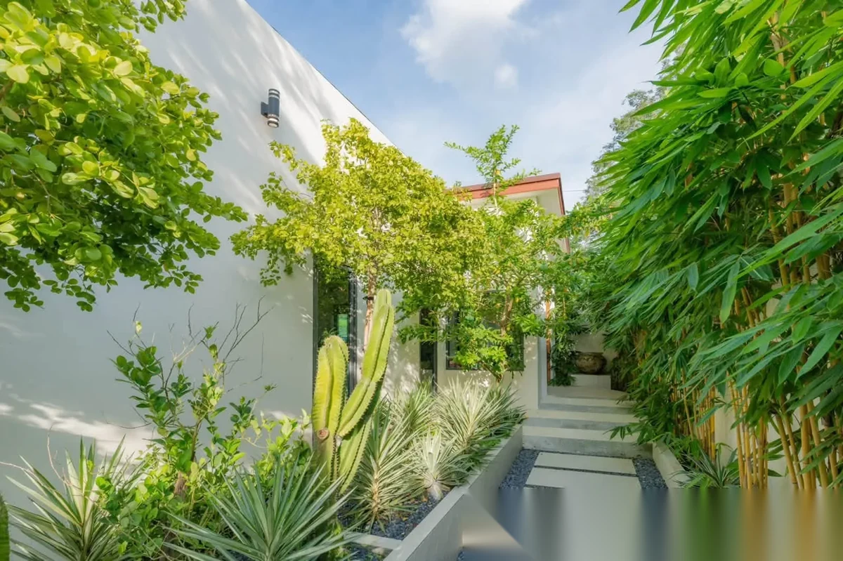 6 Bedroom Villa for rent · Choeng Thale · Pool View — photo 11