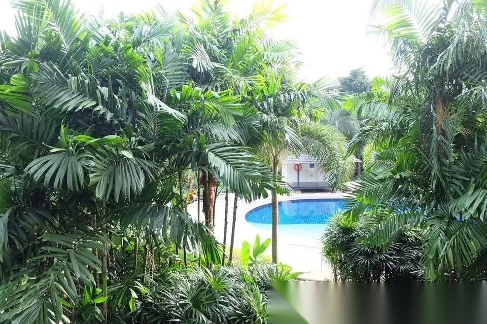 Апартаменты 2BR в ЖК Bangtao Beach Gardens · Чернг Тале / Bang Tao · Вид в сад — фото 8