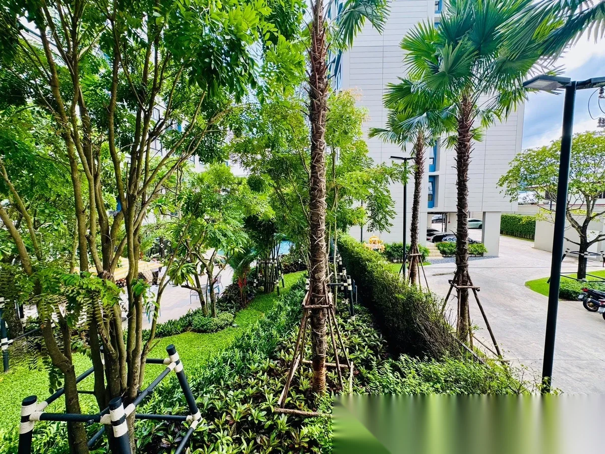 1 Bedroom Apartment for rent at Dcondo Reef Phuket complex · Kathu · Garden View — photo 8