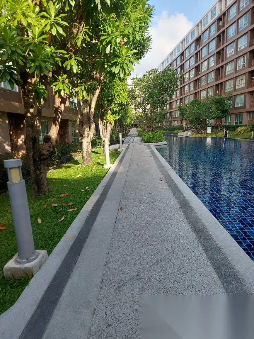 Studio Apartment for sale at D Condo Creek complex · Kathu · Pool Access — photo 14