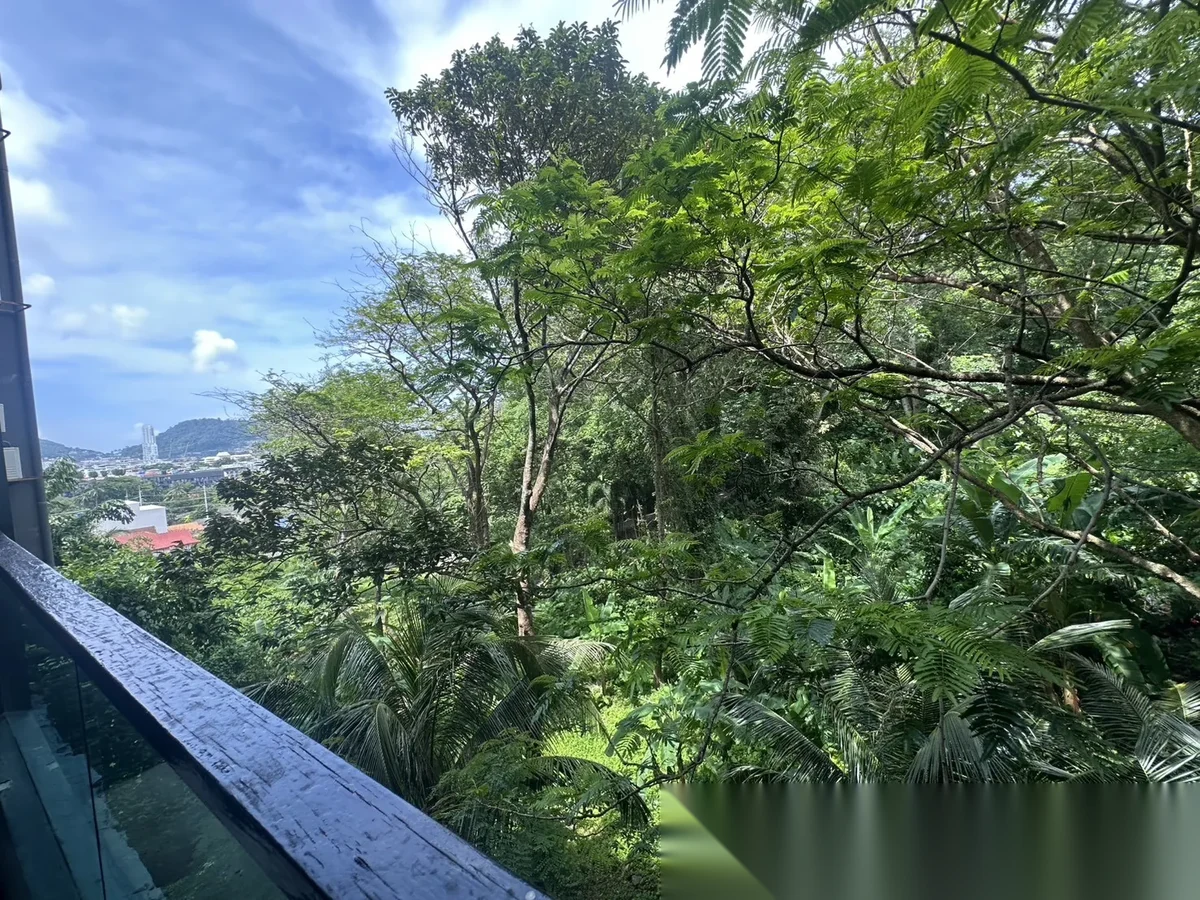 Studio Apartment for sale at The Emerald Terrace complex · Patong — photo 14