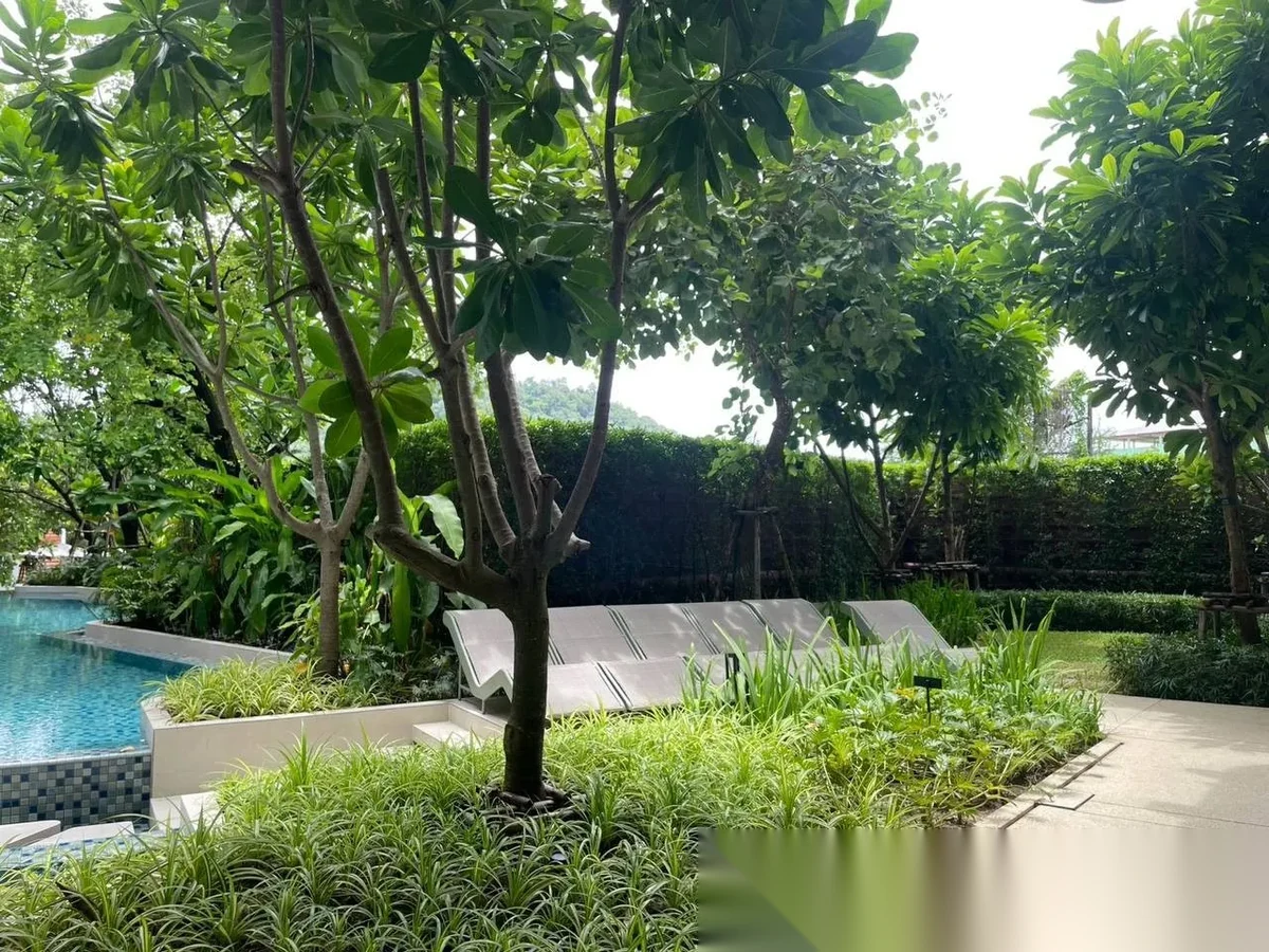 2 Bedroom Apartment for rent at THE BASE Bukit complex · Wichit — photo 4