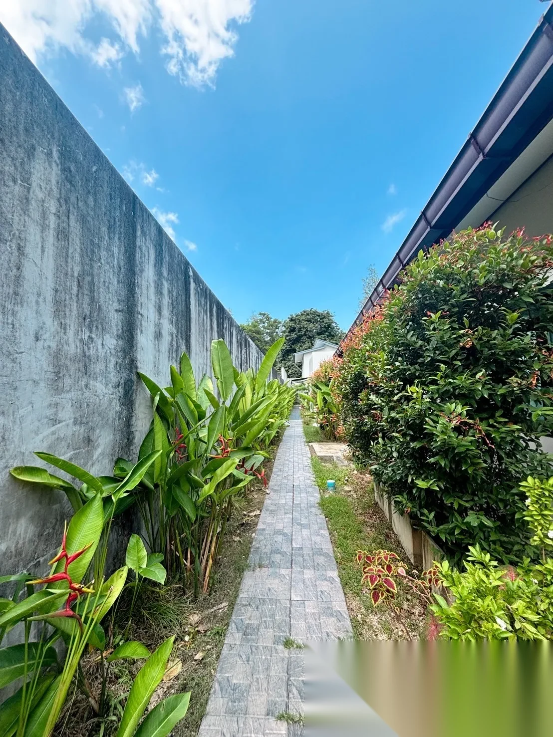 2 Bedroom House for rent · Choeng Thale — photo 3