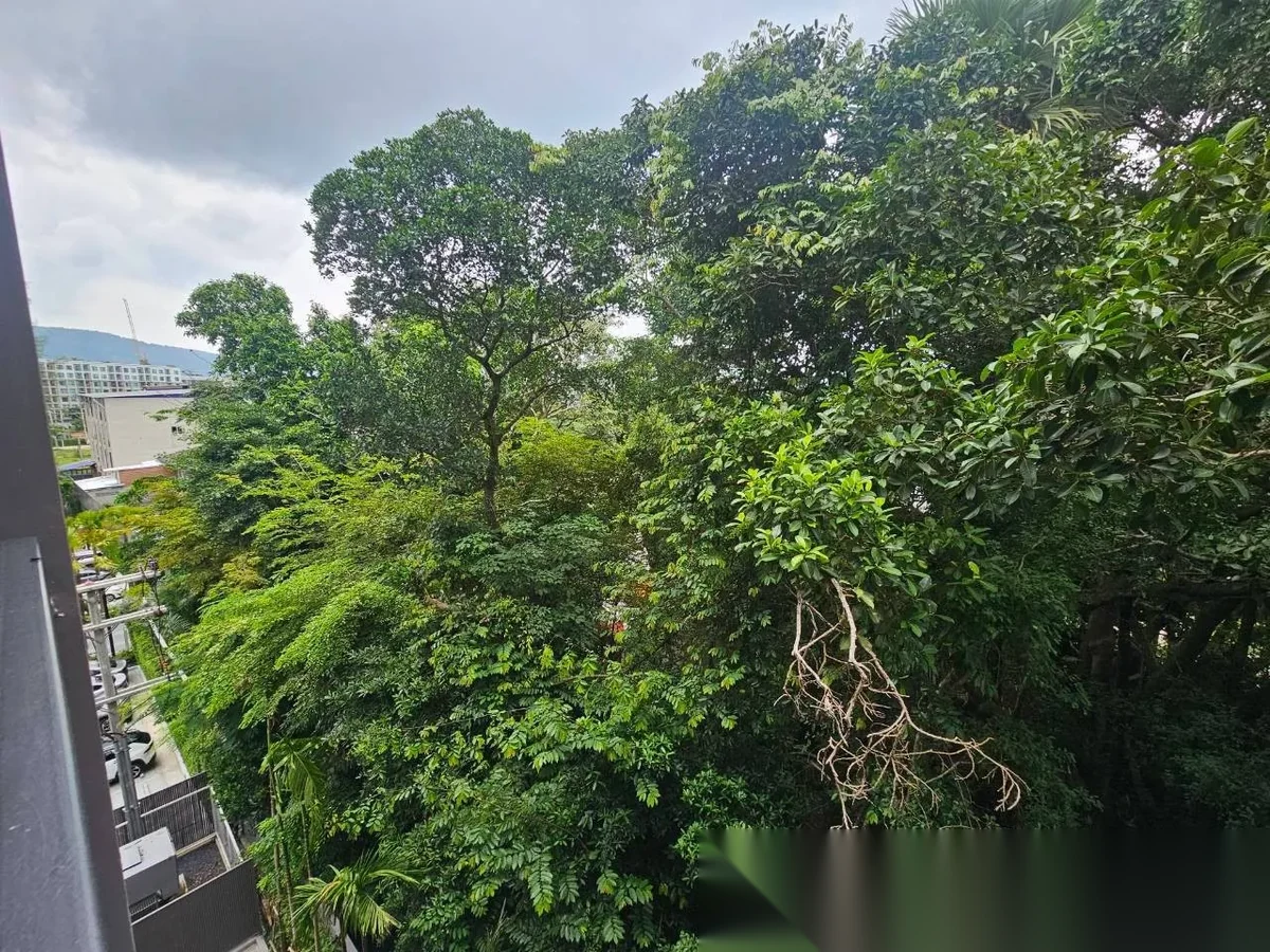 1 Bedroom Apartment for rent at The Base Cherngtalay complex · Choeng Thale · Garden View — photo 12