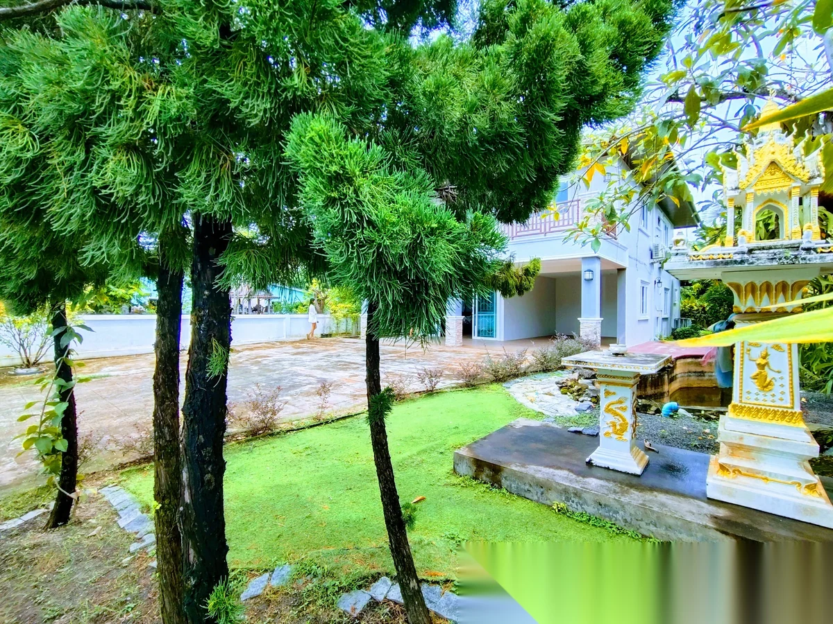 3 Bedroom House for rent at Spacious Detached House With Large Garden And Fish Pond complex · Thep Krasattri · Garden View — photo 10