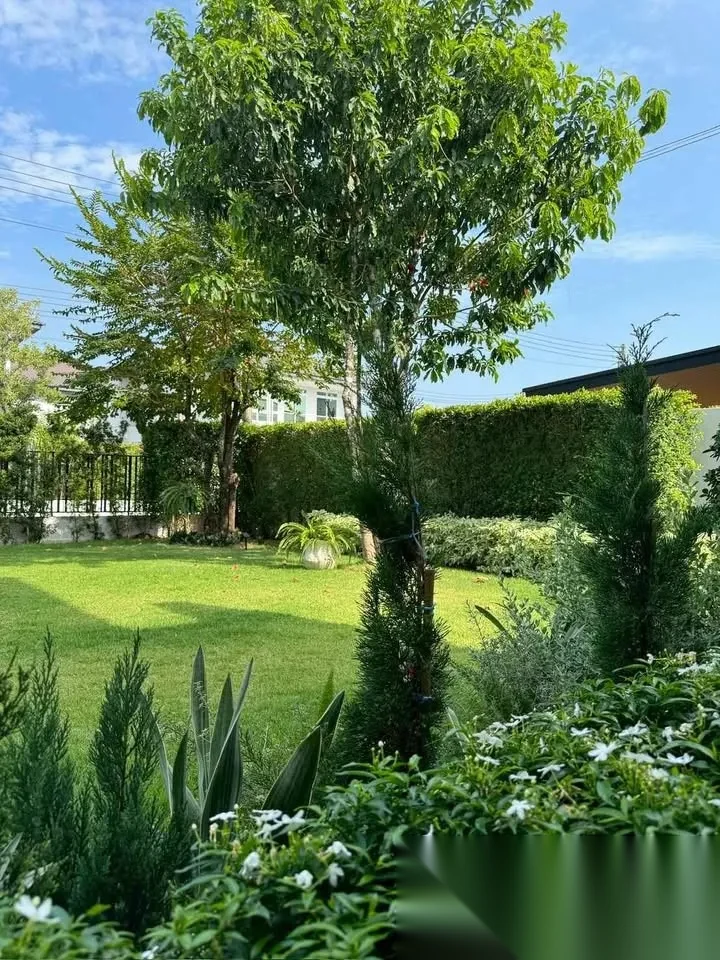 4 Bedroom House for rent at Siwalee Rasada complex · Phuket Town — photo 4