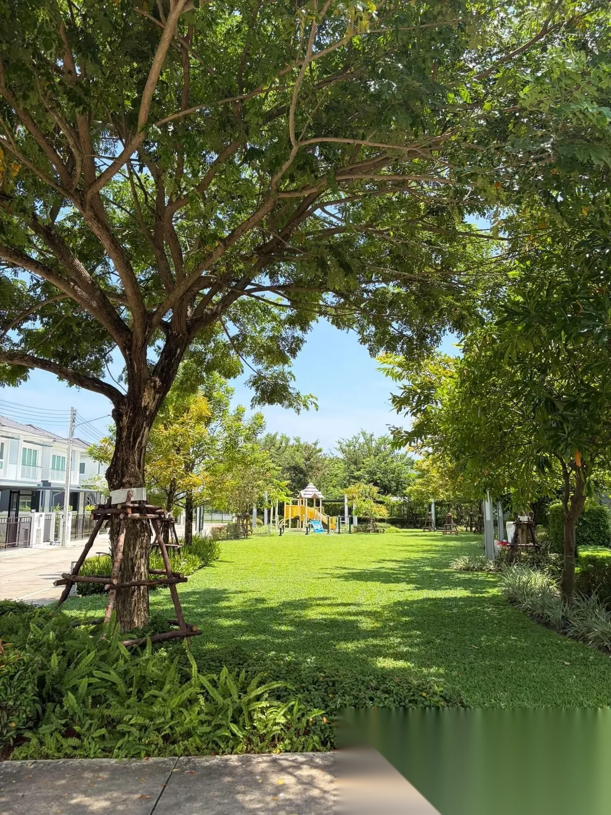 3 Bedroom House for rent at Supalai Primo Sri Sunthon-Phuket complex · Si Sunthon · Garden View — photo 2