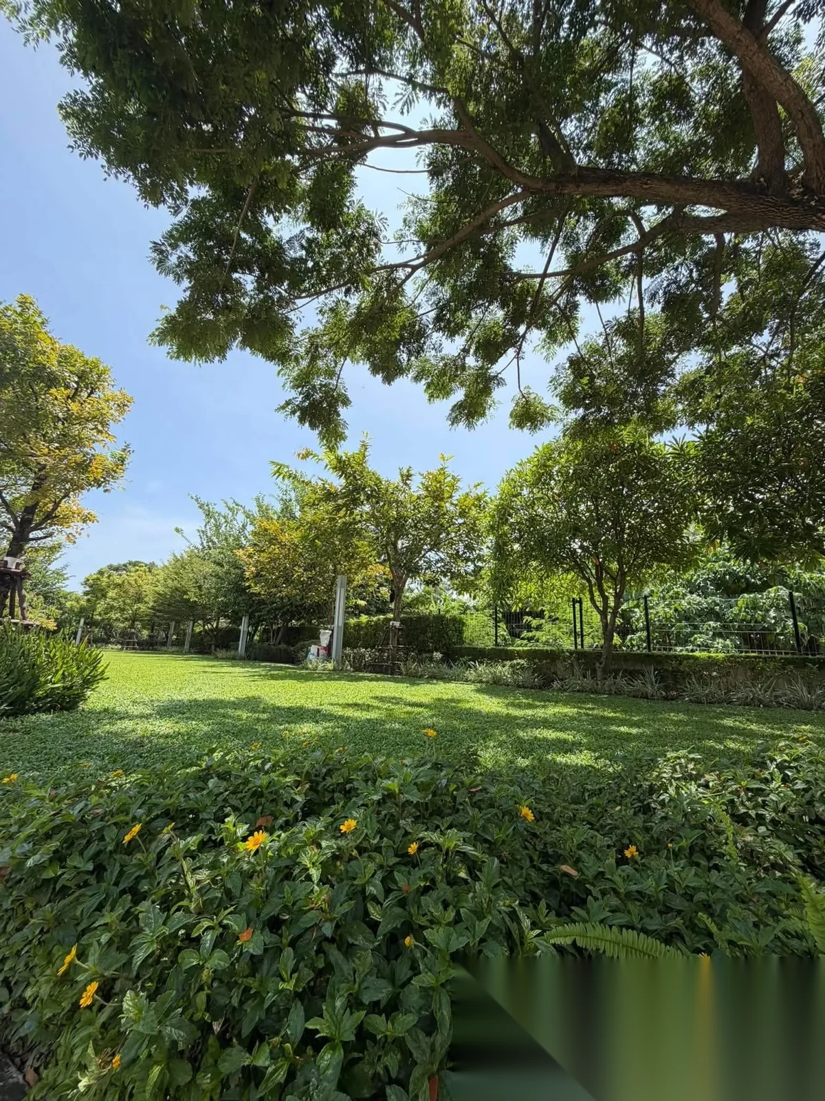 3 Bedroom House for rent at Supalai Primo Sri Sunthon-Phuket complex · Si Sunthon · Garden View — photo 3