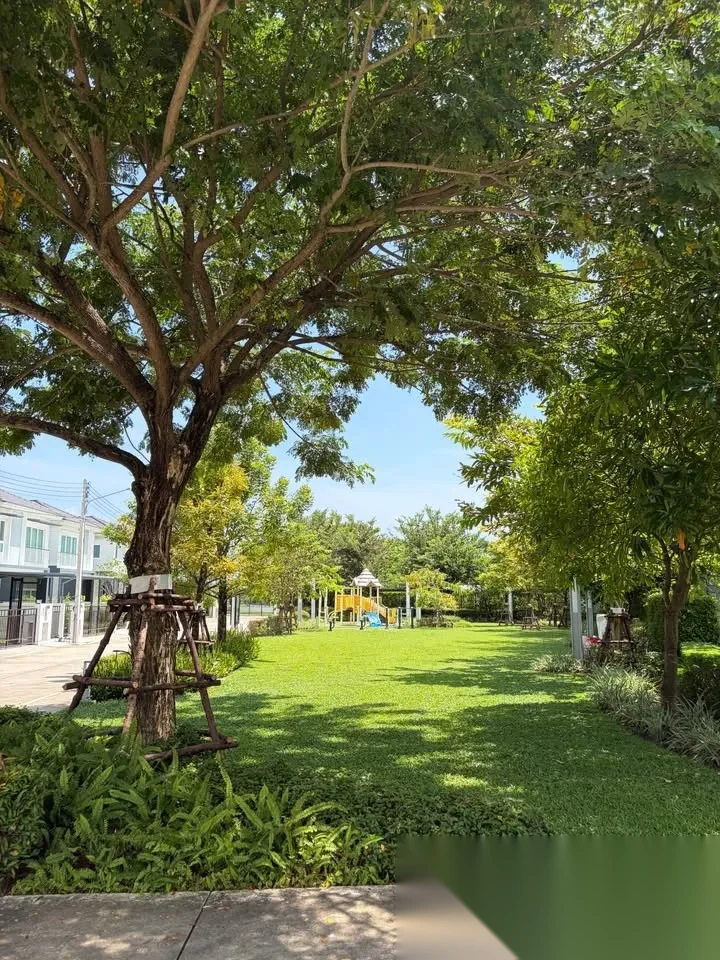 3 Bedroom House for rent at Supalai Primo Monument Phuket complex · Si Sunthon — photo 3