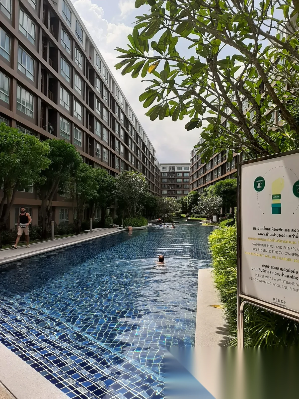 1 Bedroom Apartment for sale at D Condo Creek complex · Kathu · Pool View — photo 8