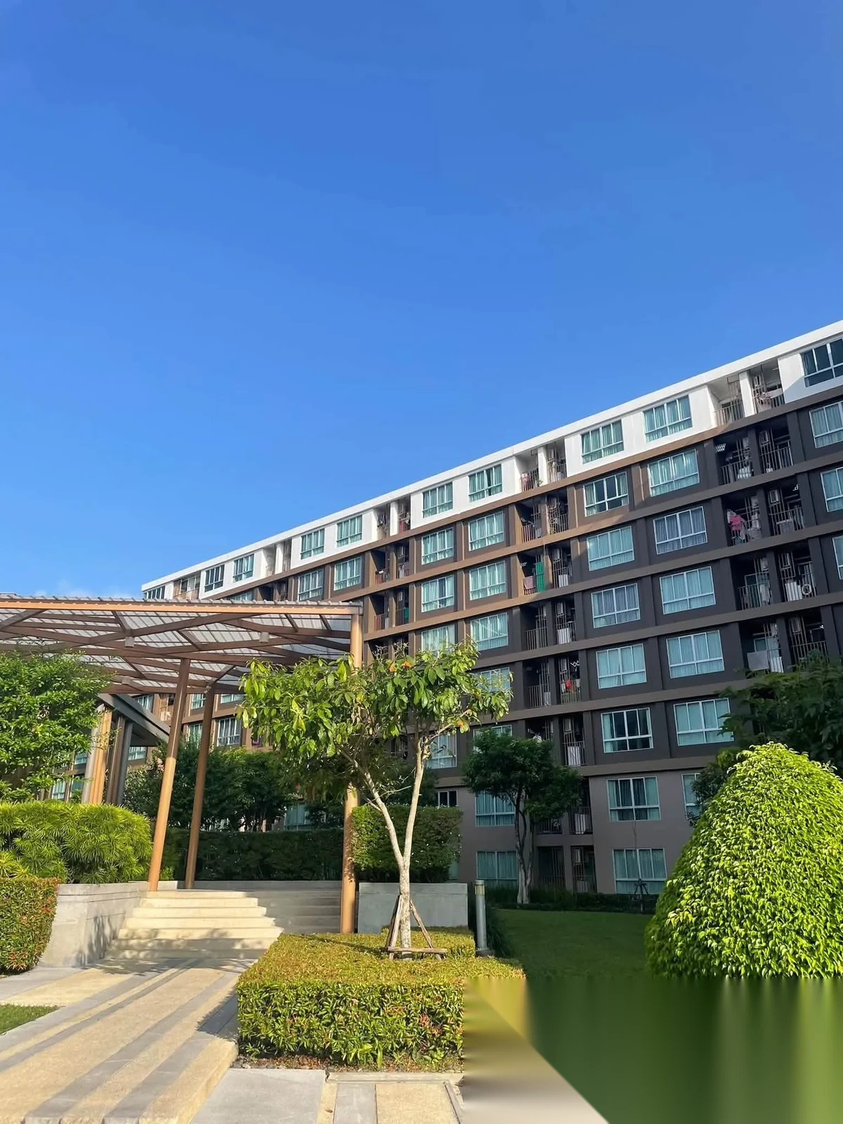 Studio Apartment for rent at D Condo Creek complex · Kathu — photo 8