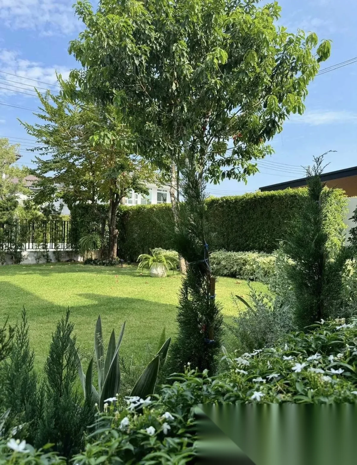 4 Bedroom House for rent at Siwalee Rasada complex · Phuket Town · Garden View — photo 3