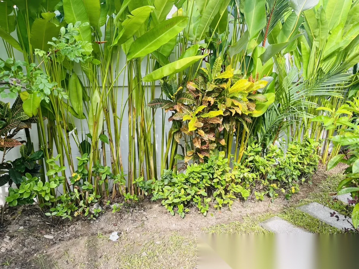 3 Bedroom House for sale at Suriyaporn Place complex · Chalong · Pool View — photo 17