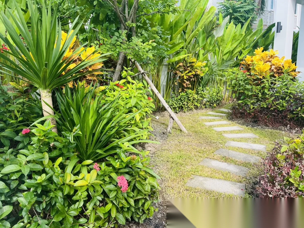 3 Bedroom House for sale at Suriyaporn Place complex · Chalong · Pool View — photo 18