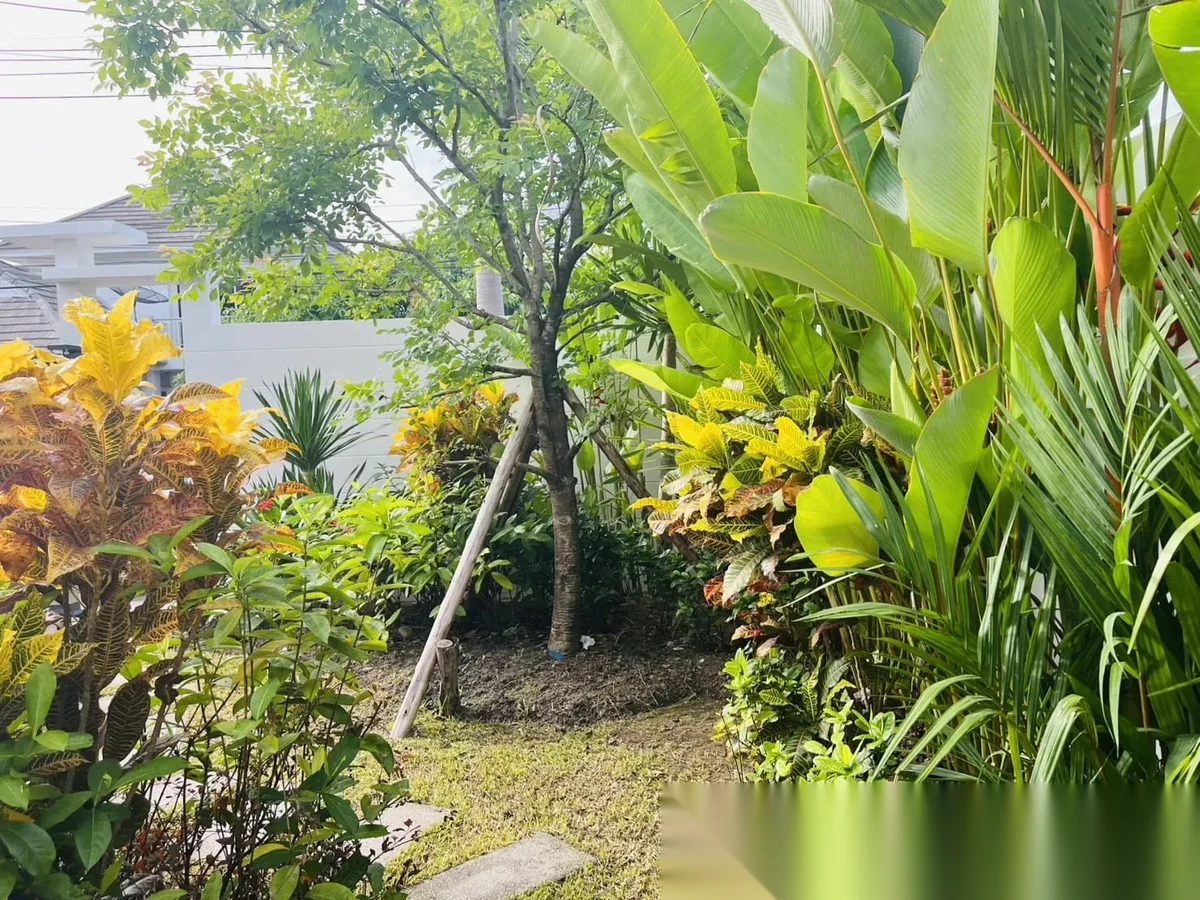 3 Bedroom House for sale at Suriyaporn Place complex · Chalong · Pool View — photo 26
