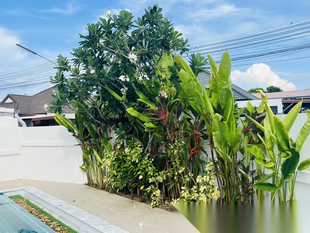 3 Bedroom House for sale at Suriyaporn Place complex · Chalong · Pool View — photo 28